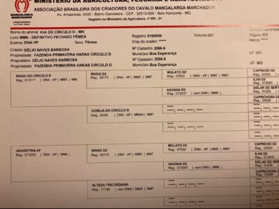 Kia do Círculo D - Registro definitivo