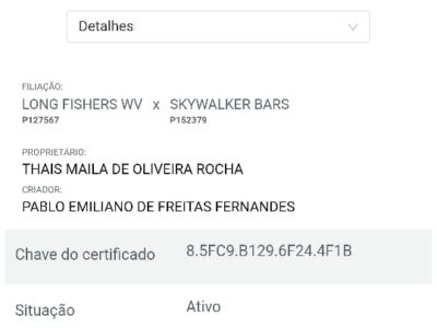 JAGUAR FISHERS MIR
