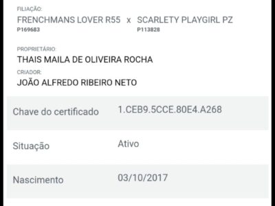 FRENCH PLAY 55