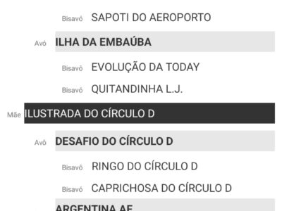 Potra registrada no definitivo!