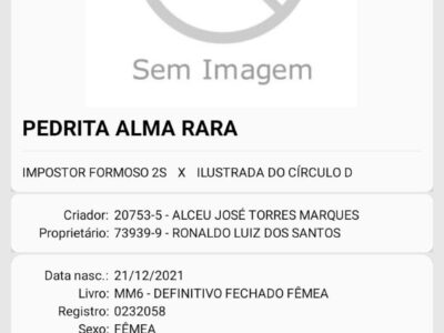 Potra registrada no definitivo!