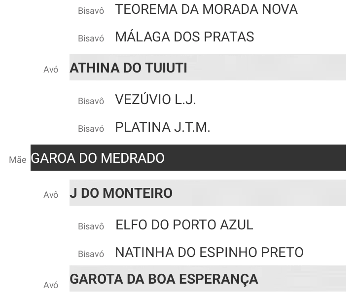 Potro manga larga com papel!