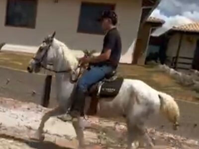 Cavalo Comum Marcha Picada