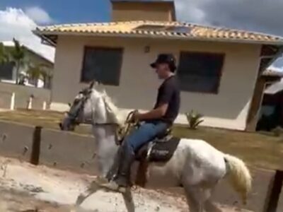 Cavalo Comum Marcha Picada