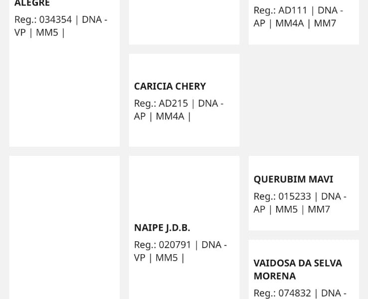 Cavalo Castrado Registado na ABCCMM