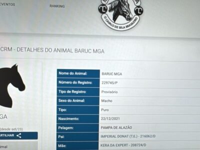 Mangalarga Maravilhoso