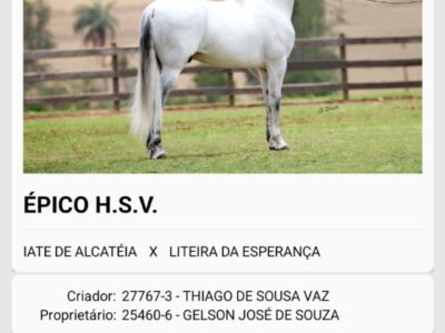 Épico HSV
