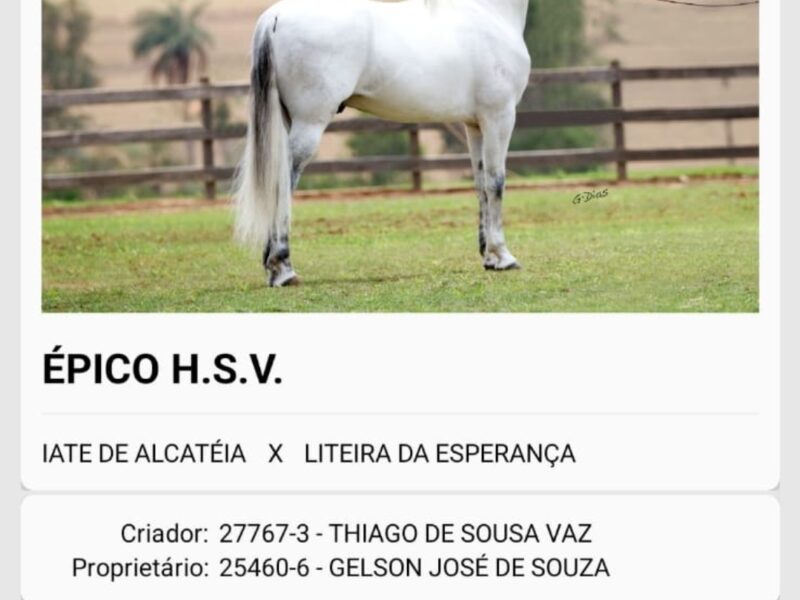 Épico HSV