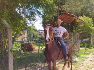 Cavalo Castrado Registado na ABCCMM