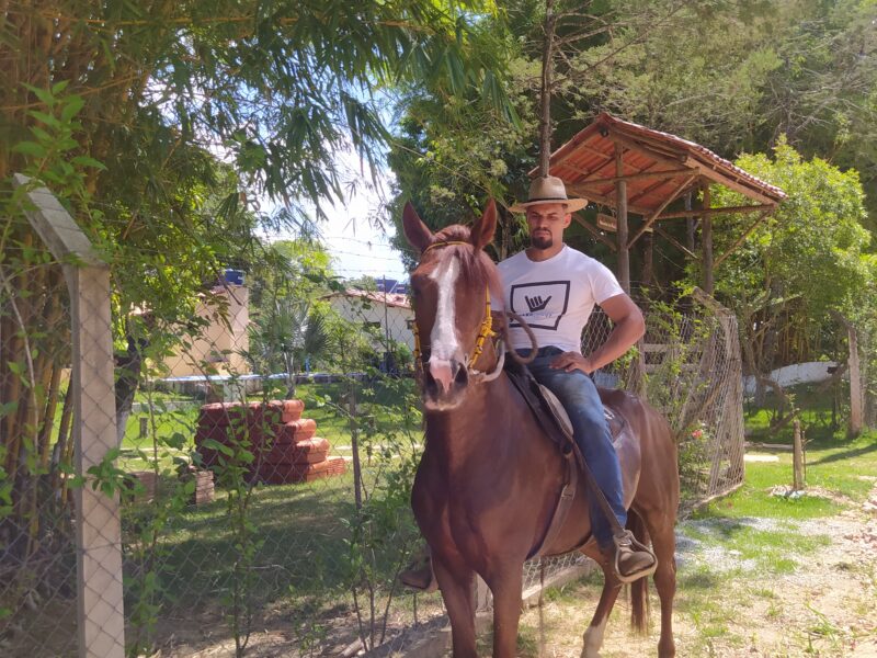 Cavalo Castrado Registado na ABCCMM