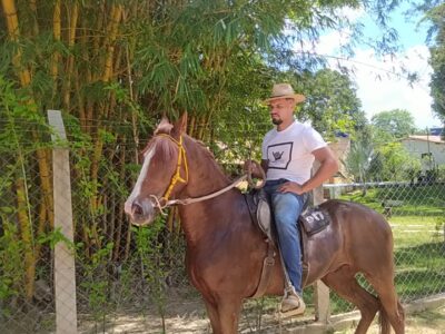Cavalo Castrado Registado na ABCCMM