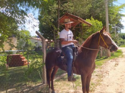 Cavalo Castrado Registado na ABCCMM
